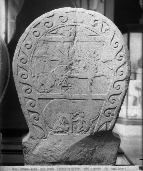 Fig. 3 - Stele etrusca con leonessa e bambino, Museo Civico Archeologico di Bologna, Bologna (BO)