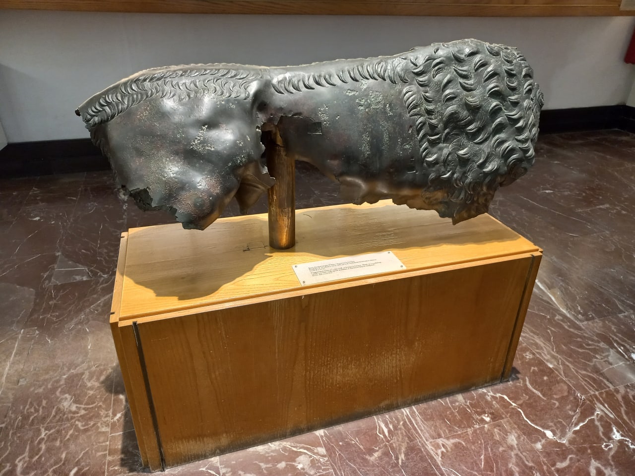 Fig.1 - La "Lupa" di Fiesole