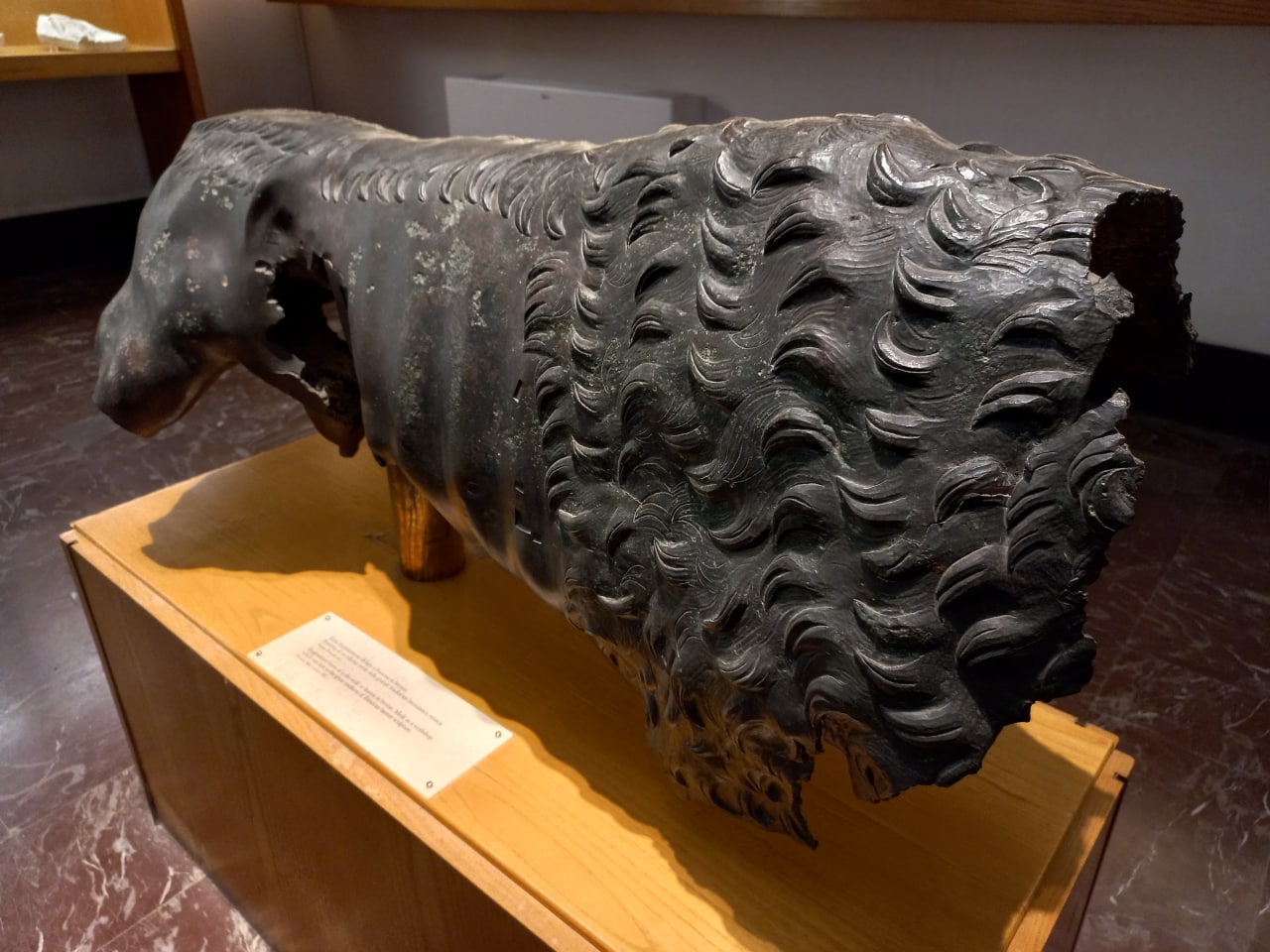 Fig. 2 - La "Lupa" di Fiesole, particolare