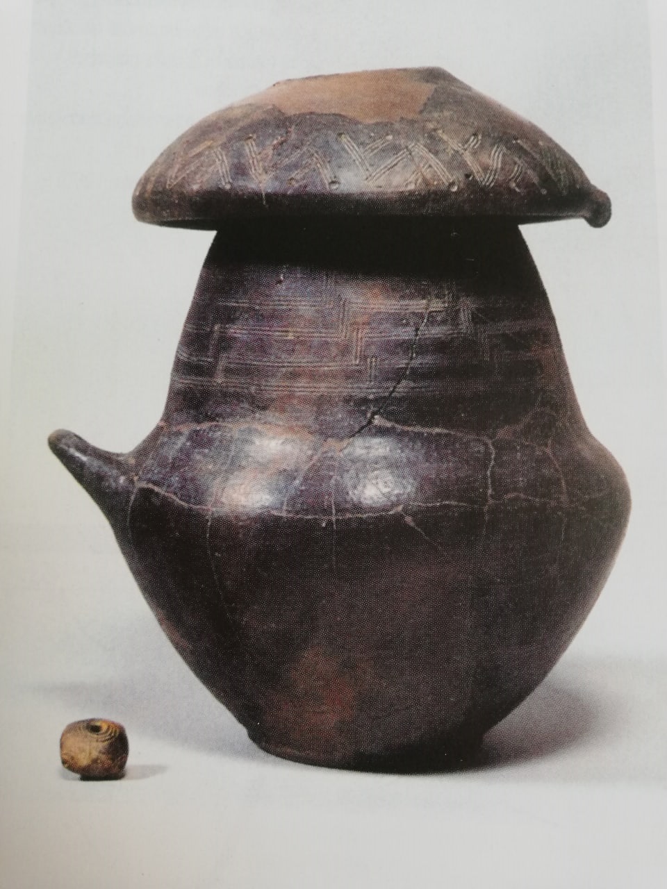 Fig. 3 - Vaso cinerario biconico proveniente da Firenze, necropoli villanoviana del Gambrinus