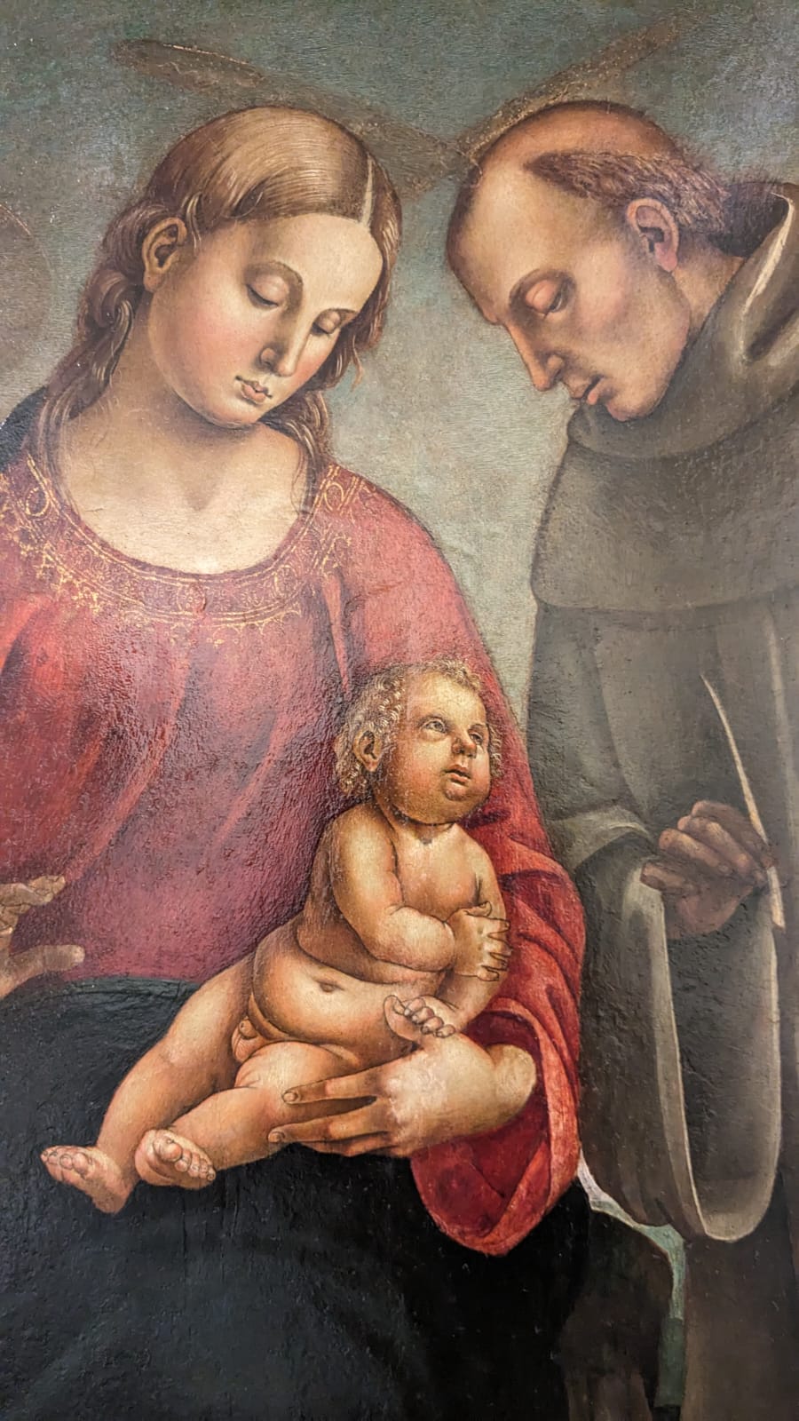 Foto 2 - Luca Signorelli, Madonna con il Bambino tra San Girolamo e San Bernardo, dettaglio