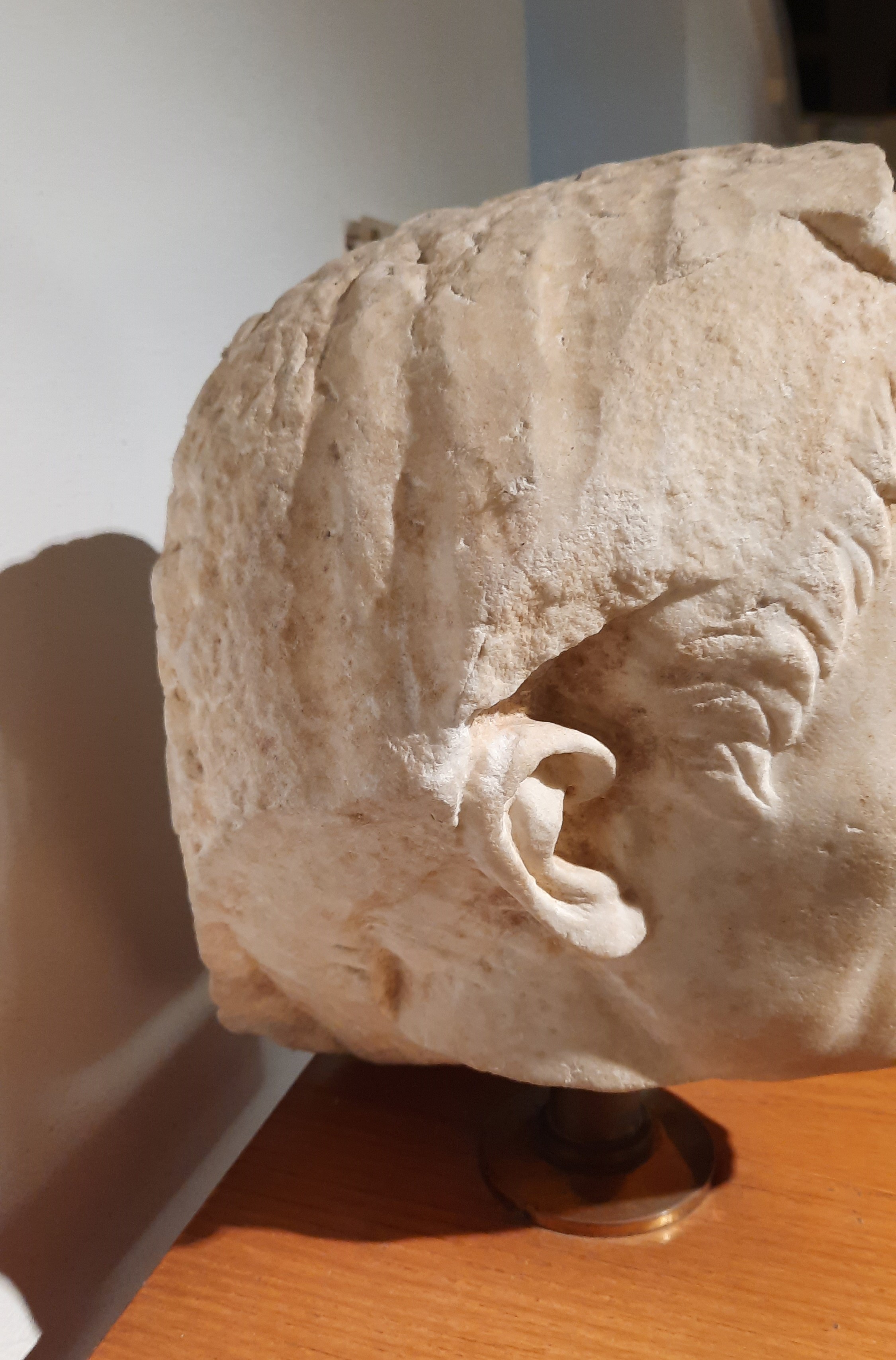 Fig 2. - Testa maschile velata di un notabile fiesolano, dettaglio della lavorazione sul retro 