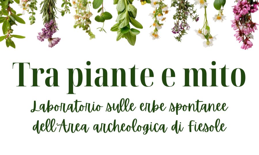 Piante e mito