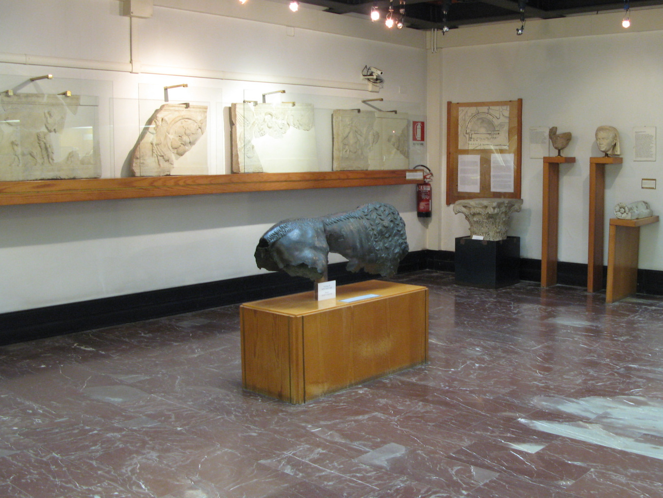 Museo Archeologico di Fiesole, sala 3, al centro il busto di lupa/leonessa in bronzo